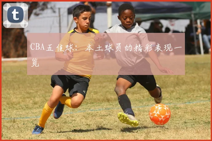CBA五佳球:本土球员的精彩表现一览