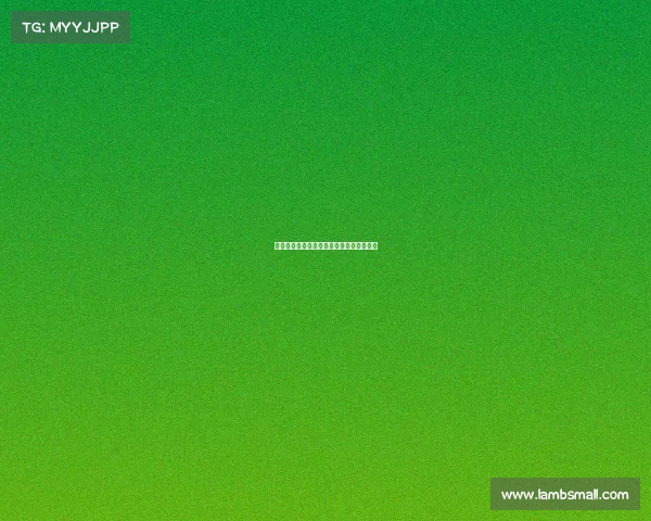 曼联与莱比锡友谊赛谢什科主导进攻成焦点