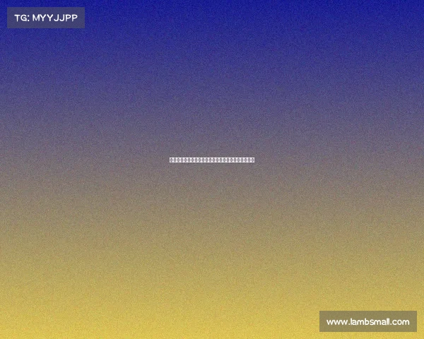 德温特确认加盟米兰曾与阿莱格里共事尤文助力新篇章