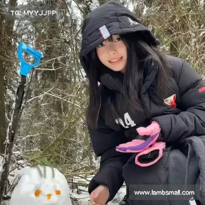 樊茉骊